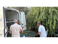 Gazipaşa’da bir kişi evinin merdiveninde ölü bulundu