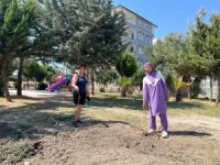 Parktaki ağaçların sökülmesine vatandaşlardan tepki
