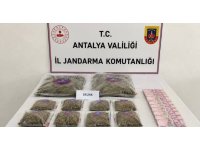 Antalya’da 5 kilogram skunk esrar maddesi ele geçirildi