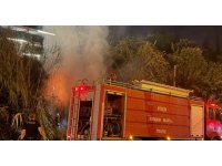 Alanya’da sazlık alanda yangın