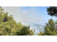Antalya’da iki ilçede çıkan orman yangınına müdahale ediliyor