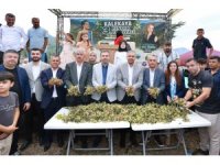 Kahramanmaraş’ın Karadeniz’i Kalekaya’da Fındık Festivali