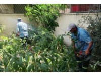 Mersin’ de park ve yeşil alanlarda bakım çalışmaları sürüyor