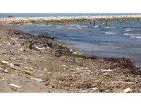 Mersin sahillerindeki kirlilik turizmi tehdit ediyor