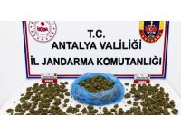 Alanya’da uyuşturucu operasyonunda 745 gram esrar ele geçirildi
