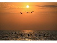 Mersin’de deniz sporları ücretsiz eğitimlerle yaygınlaşıyor