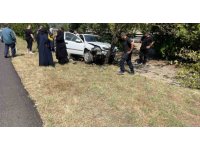 Osmaniye’de otomobil ağaca çarptı: 1 yaralı