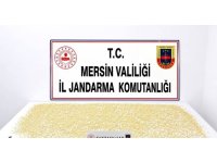 Mersin’de 3 bin 760 uyuşturucu hap ele geçirildi