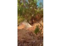 Kaş’ta denize atık su karışmasına 839 bin lira ceza
