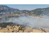 Kaş’ta ormanlık alanda yangın
