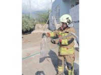 Hatay’da yerleşim alanlarında yakalanan yılanlar doğaya bırakıldı