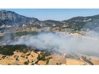 Kaş’ta çıkan ormanlık alan yangını 2,5 saatte kontrol altına alındı
