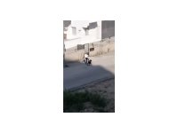 Kadını öldüresiye dövdü, serbest kaldı