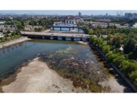 Seyhan Nehri’nde sular çekildi, kirlilik ortaya çıktı