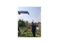 Otomobil dereye uçtu: Sürücü yüzerek kurtuldu