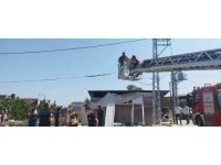 Elektrik direğinde erkek cesedi bulundu