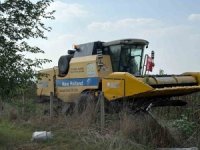 Osmaniye’de yerli ve milli ayçiçeği çeşitlerinde ilk hasat yapıldı