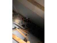 Hatay’da mahsur kalan hayvanlar kurtarıldı