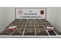 Uyuşturucu operasyonunda 13 şüpheli yakalandı