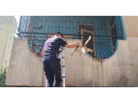 Yangından korkan hamile kediyi itfaiye kurtardı