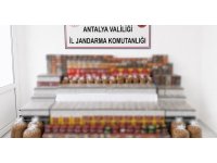 Manavgat’ta 36 bin makaron, 35 kilo kıyılmış tütün ele geçirildi