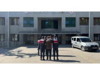 Manavgat’ta insan ticareti operasyonu: 14 yabancı uyruklu mağdur kurtarıldı