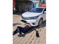 Antakya ve İskenderun’da araçlarda mahsur kalan kediler kurtarıldı