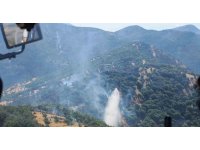 Kahramanmaraş’taki orman yangınları söndürüldü