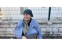 Alevler evlerin kapısına dayandı, vatandaşlar hortum ve kovalarla seferber oldu