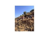 Sepetli motosiklet uçurumdan uçtu: 3 yaralı