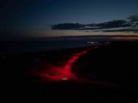 Carettalar için deniz yoluna LED ışık döşendi