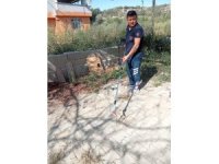 Samandağ’da yerleşim yerinde görülen yılan yakalanarak doğaya bırakıldı