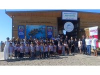 Tedavisi tamamlanan iki yeşil deniz kaplumbağası denize bırakıldı