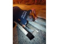 İskenderun’da mahsur kalan hayvanlar ekipler tarafından kurtarıldı