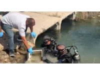 Evden çaldıkları çelik kasaları dereye attılar, altınları motosiklet koltuğuna sakladılar
