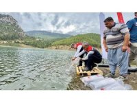 Mersin’de 17 göl ve gölete 347 bin yavru sazan bırakıldı