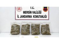 Uyuşturucu taciri 2 kilo 100 gram esrarla yakalandı