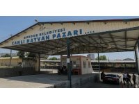 Burdur’da hayvan pazarı şap hastalığı nedeniyle geçici olarak kapatıldı