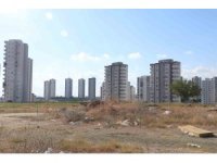 Adana’da cırcır böceği sesleri vatandaşları uyutmuyor