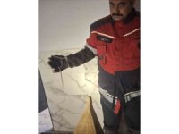 Antakya ve Hassa’da yerleşim yerlerinde görülen yılanlar yakalandı