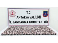 Antalya’da 6 bin 540 sentetik hap ele geçirildi