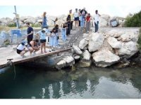 Mersin’de biyolojik çeşitlilik MINKA ile kayıt altına alınıyor