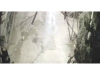 Önce motosikletle kovaladılar sonra köpeği çaldılar