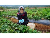 Kadınların emeği Kahraman Kadın Platformu’yla geniş kitlelere ulaşıyor
