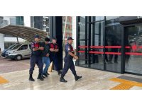 Alanya’da kuşlara yönelik vahşet kamerada: Birinin kafasını ağzıyla, diğerinin bıçakla kesti