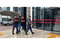 Alanya’da kuşlara vahşet uygulayan şüpheli tutuklandı