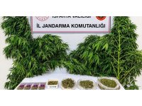 Isparta’da uyuşturucu operasyonlarında 62 şüpheli yakalandı