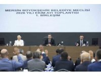 Mersin Büyükşehir Belediyesinde başkan vekili seçimi yarın yapılacak