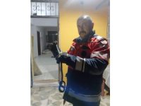 Hassa’da evde görülen yılan itfaiye ekiplerince yakalandı
