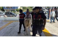 Alanya’da 3,3 milyon TL’lik yatırım dolandırıcılığı: 2 tutuklama